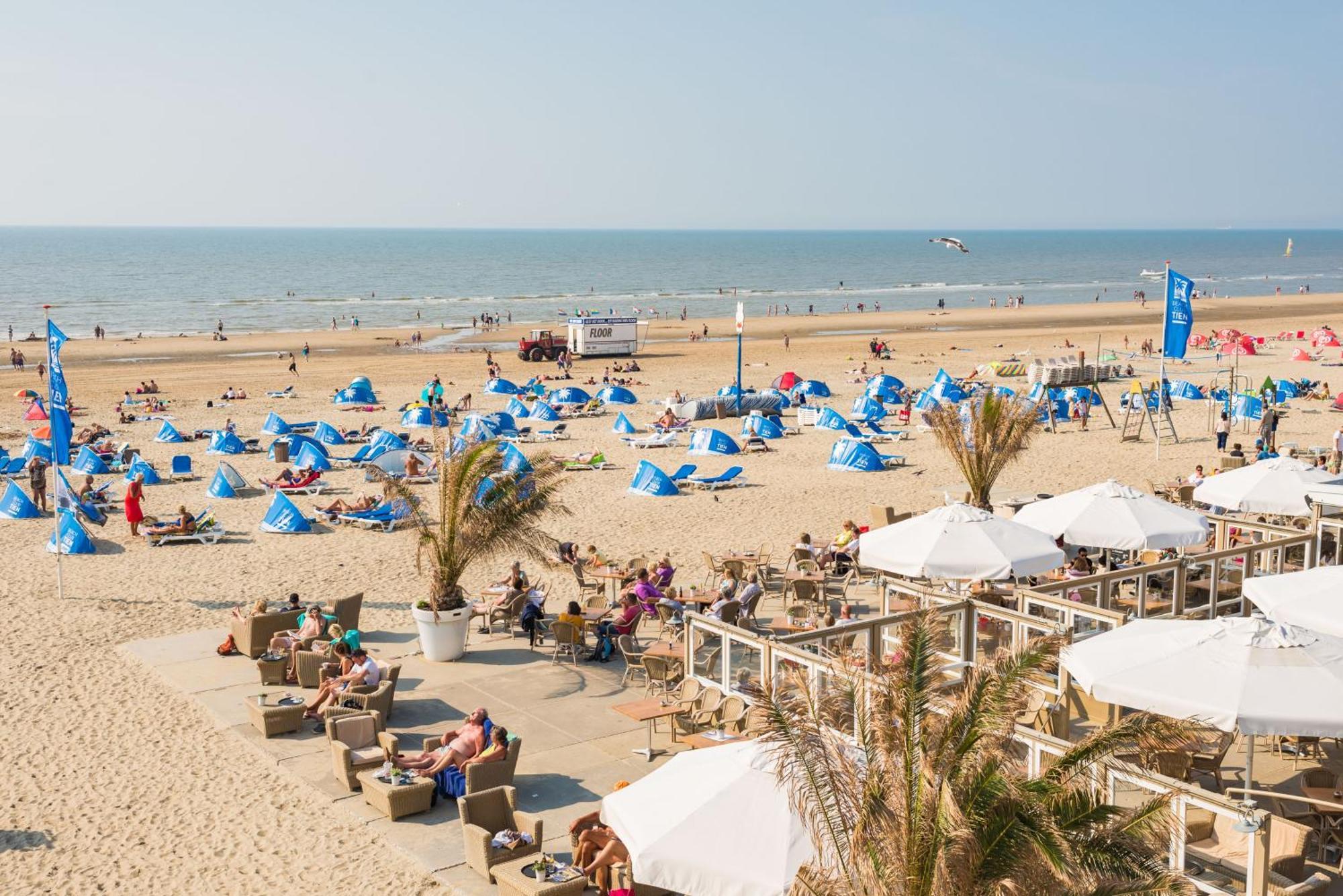 Moyo Kijani Villa Zandvoort Bagian luar foto